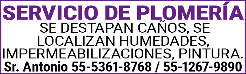 SERVICIO,DE,PLOMERIASE,DETAPAN,CAÑOS,SE,LOCALIZAN HUMEDADES,IMPERMEABILIZACIONES,PINTURA.Sr.,Antonio,55-5361-8768,/,55-1267-9890