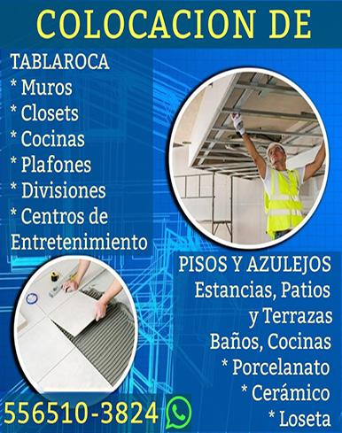 Colocacion de 5565103824